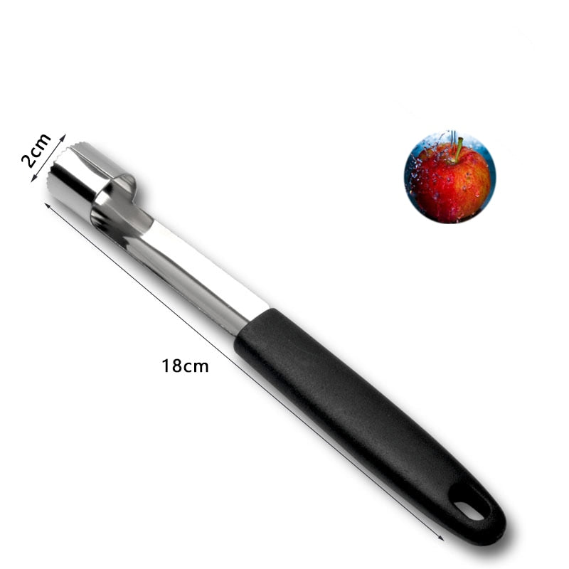 Stainless Steel Fruit Core Remover