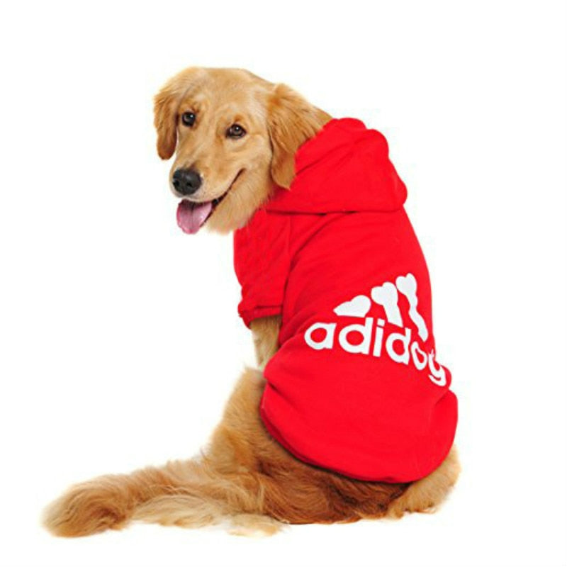 Dog Hoodie