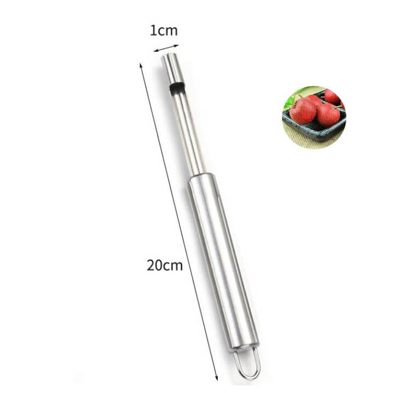 Stainless Steel Fruit Core Remover